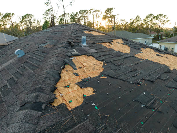 Gutter Replacement in Tallahassee, FL